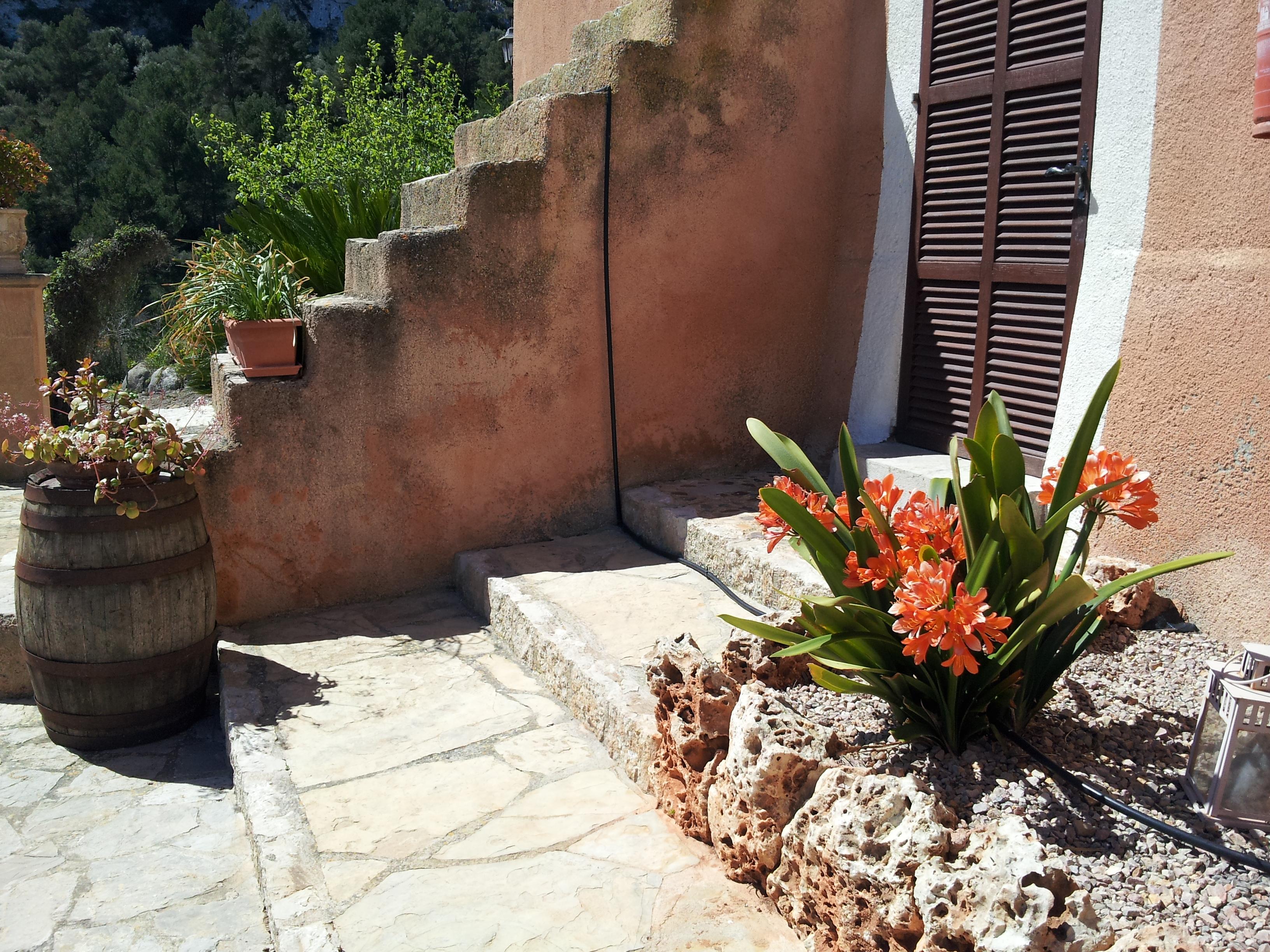 Agroturisme Es Picot Son Macia (Mallorca) Exterior foto