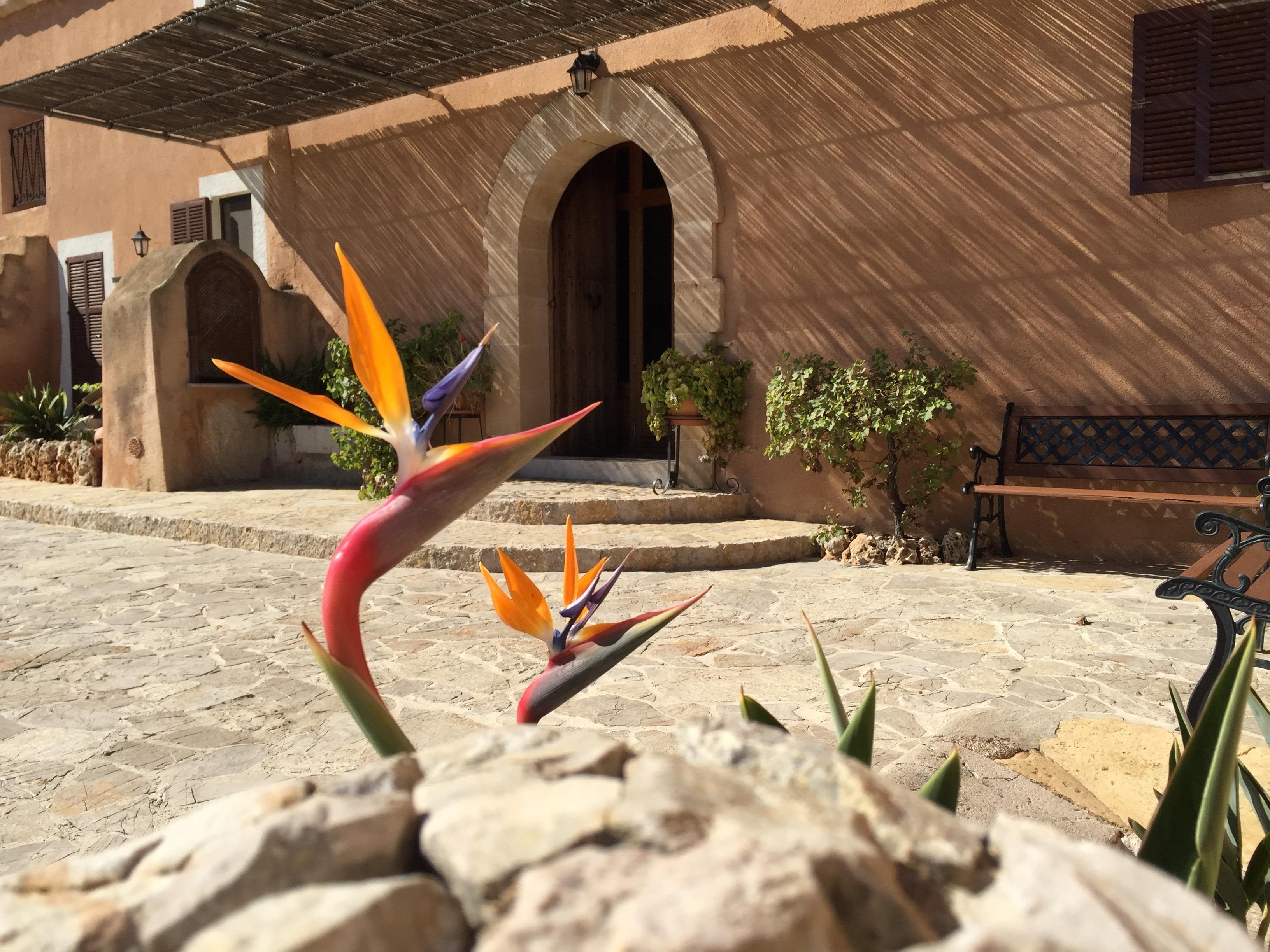 Agroturisme Es Picot Son Macia (Mallorca) Exterior foto