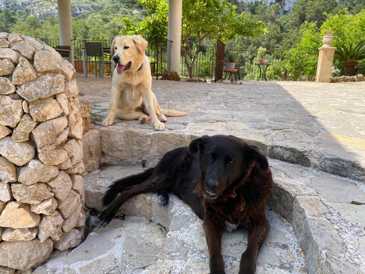 Agroturisme Es Picot Son Macia (Mallorca) Exterior foto