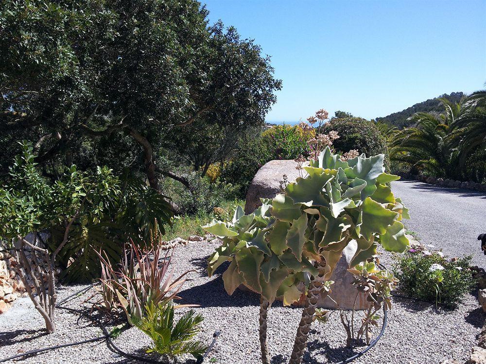 Agroturisme Es Picot Son Macia (Mallorca) Exterior foto