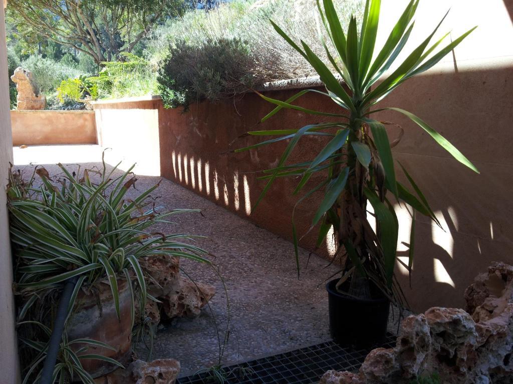 Agroturisme Es Picot Son Macia (Mallorca) Quarto foto
