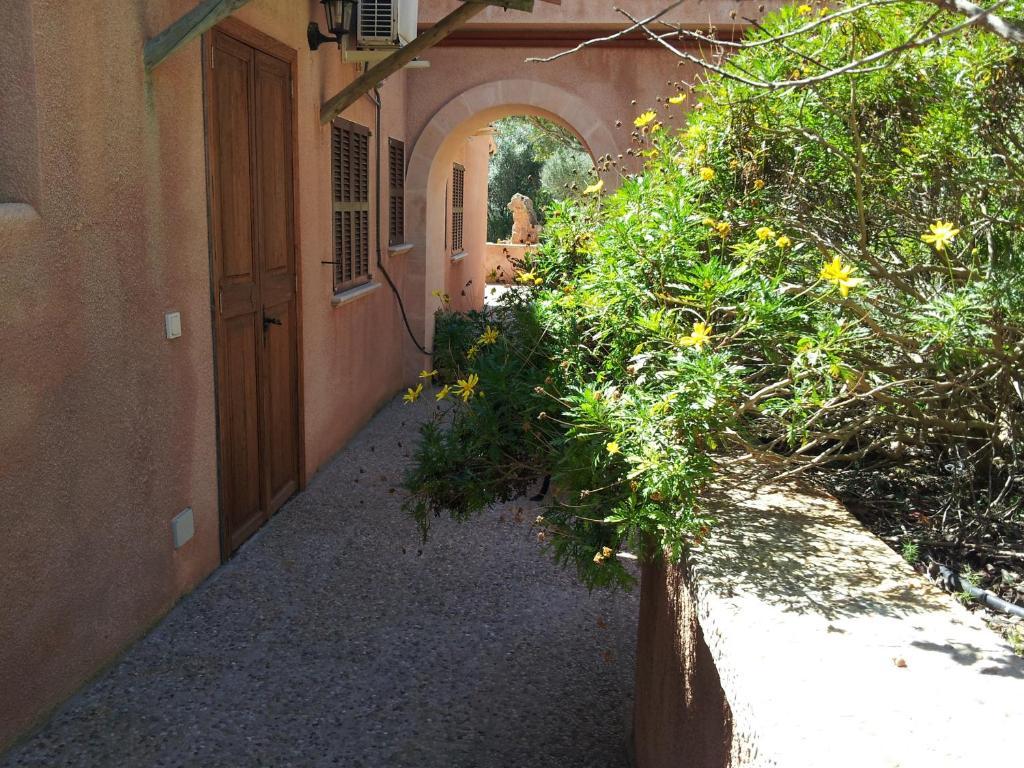 Agroturisme Es Picot Son Macia (Mallorca) Quarto foto